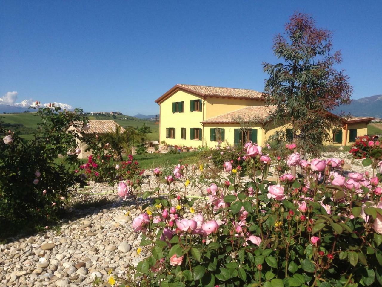 Il Frutteto Bed And Breakfast Ripattone Eksteriør billede