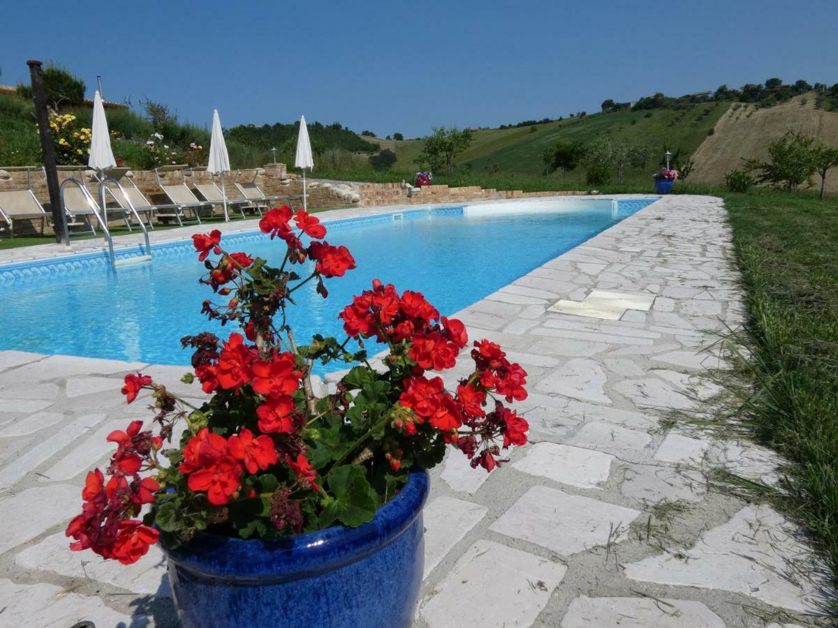 Il Frutteto Bed And Breakfast Ripattone Eksteriør billede